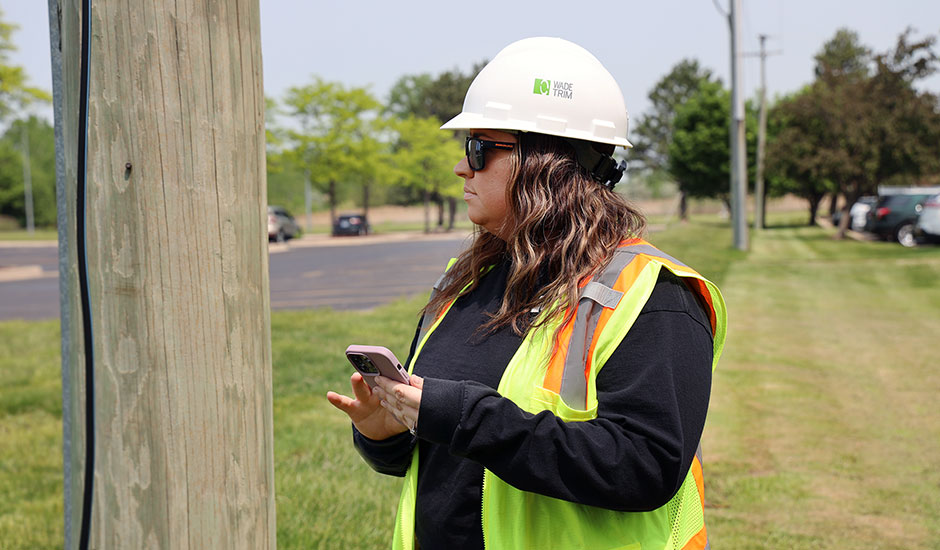 Deteriorated Pole Replacement Program